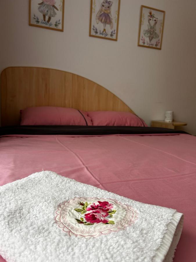 Lalelelor Apartment 수체아바 외부 사진